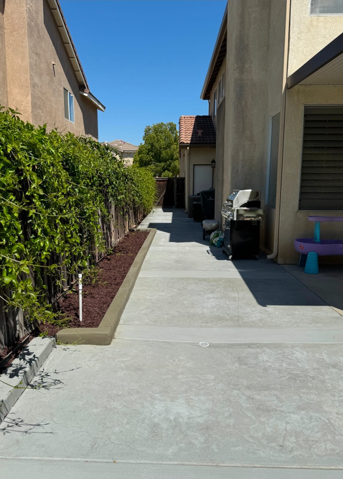 Sideyard Mulch and Concrete Retainer